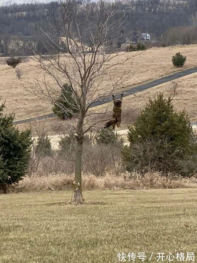|我研究了近20年的泡妹教程 冷段子1404 & 去年今日1094