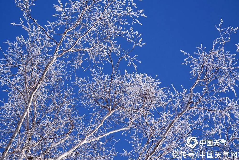 仙境|黑龙江第一峰现雾凇景观 堪比仙境