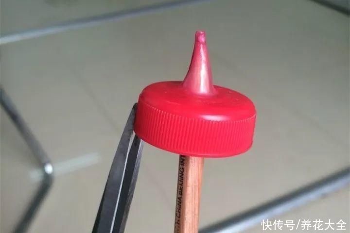 老干|旧筷子、老干妈瓶别扔,拿来养花效果好,省下一笔养花钱