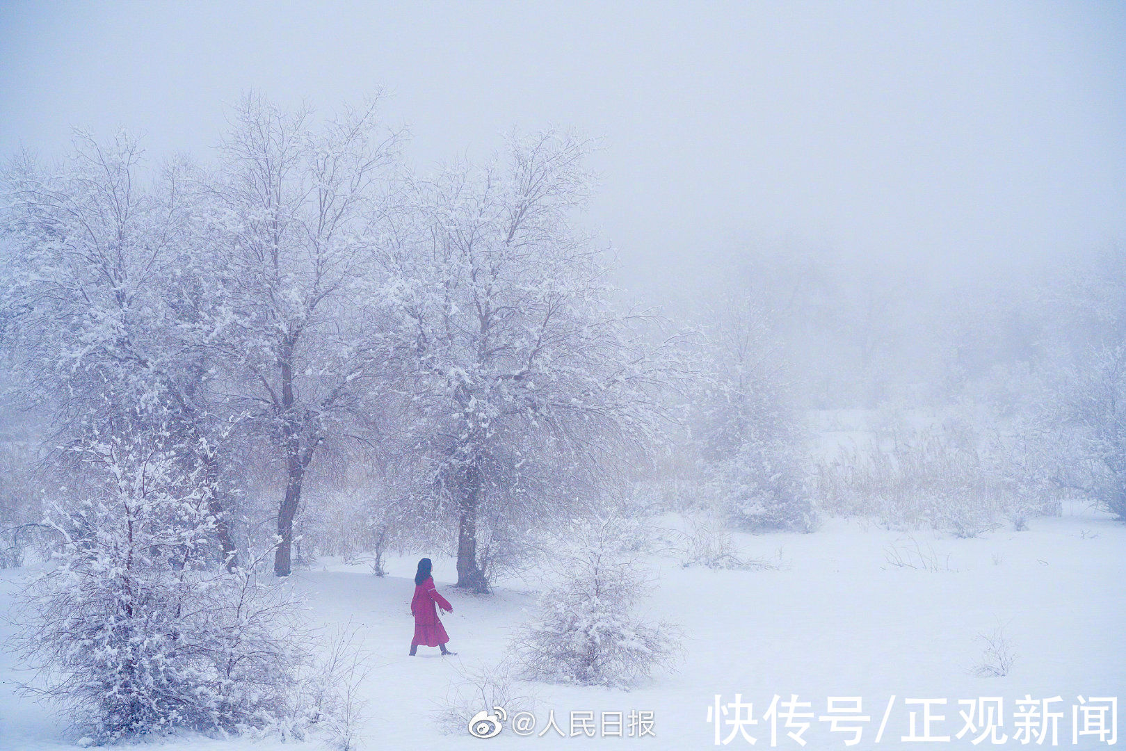 雪景|罕见美景！塔克拉玛干沙漠雪景宛若童话