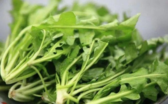 90岁中药师每天爱吃两种零食,保护心脏、祛病延年,身体依然健康