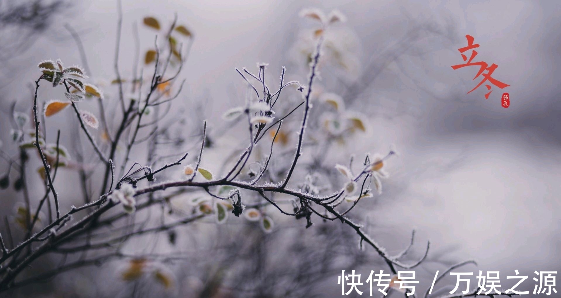 饮食|立冬养生:重在“藏”,饮食宜避寒就温,不妨多吃4物