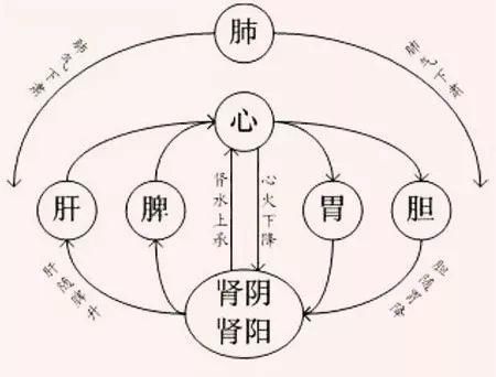 胆经|胆经一通,万病无踪!1个穴位通肝胆,5大疾病全解决