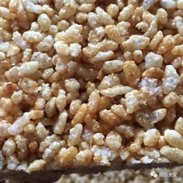 中年|广西“天峨天池”探秘 丨欧建雍：神秘的“天峨天池”（下）