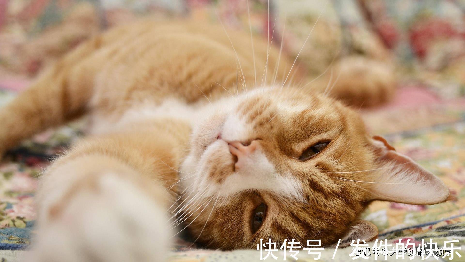 |幽默笑话:我闺蜜平时十指不沾阳春水,今天却看到她手上裹着纱布!