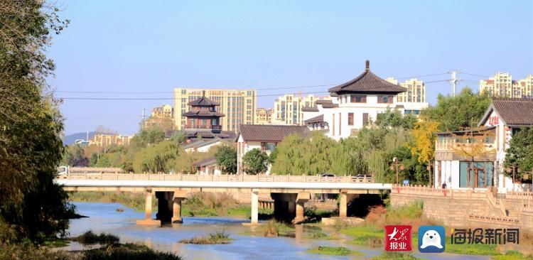 日照|惊艳初冬时光！“隐藏”在日照老城区，有条路美得正当时！