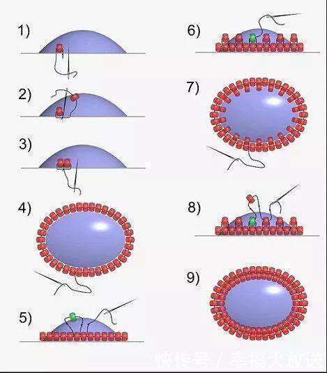 珠子|只是用了几十颗普通珠子，竟做出这么华丽的饰品，串珠珠绣附教程