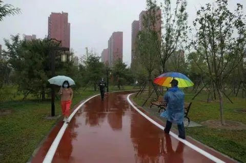 开园|今日开园!占地超60万平米!惠及20万居民!朝阳又添一座巨型生态公园!