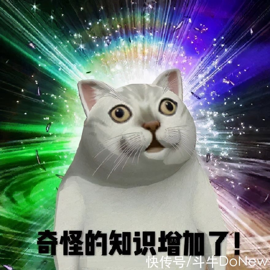 gin三条杠logo是AJ设计师设计的？乔丹、科比为何与阿迪分手？