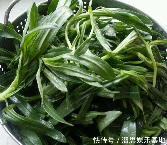 这种植物晒干了泡水喝,能止咳,村里很多老人喝,你见过吗?