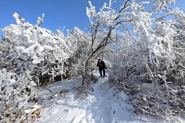 雪景|就在广元过年！这些春节旅游新玩法，给你安排得明明白白！