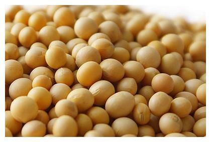 好处|洋葱好处多多，但尽量不要和它们一起炒，或许会对身体有影响