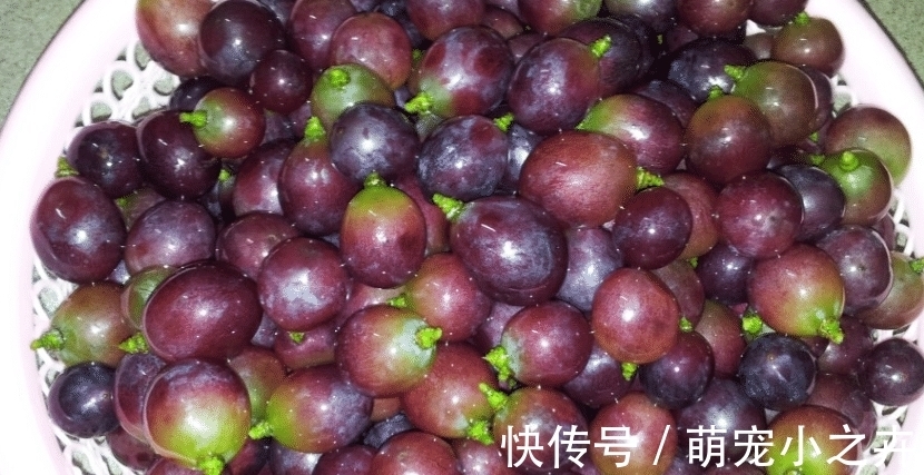 果农|吃葡萄时，用盐还是面粉洗好？果农：错，该这样洗，吃着才放心