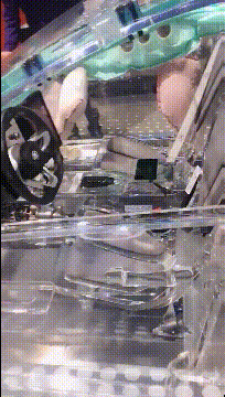 |搞笑GIF:别装了 我知道你就是故意的