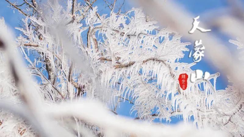 赏百米冰挂，观冰雪奇观！赶快来天蒙山打卡，惊艳你的朋友圈！