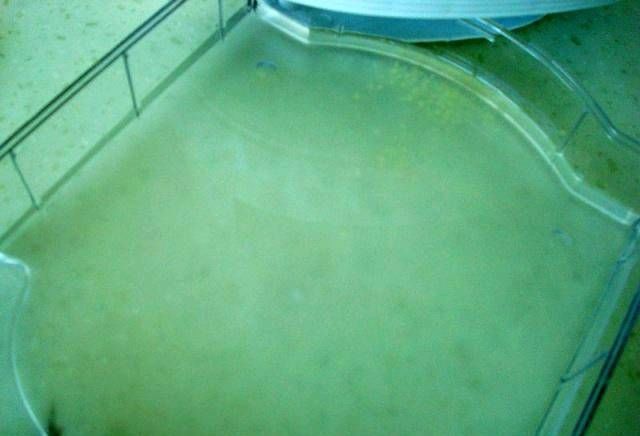 小米|像这样的蒸饭,随便吃吧。不胖能养胃。糖尿病患者应该多吃还