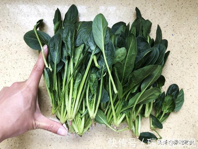 植物纤维|买菠菜时，选“长”还是选“短”的？牢记“3不买”，别随便买了