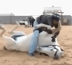 |搞笑GIF:哎呀,镜子里的帅哥是谁啊,太帅了吧,哈哈