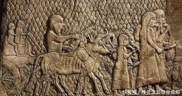 摩西|八十本书环游地球︱以色列/巴勒斯坦:《摩西五经》