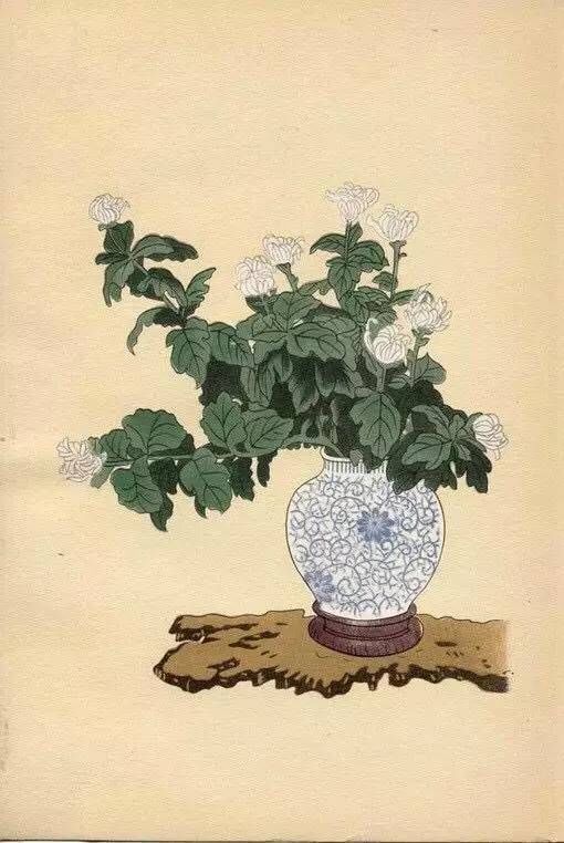 书房中的自由花 快资讯 书房中的自由花 快资讯