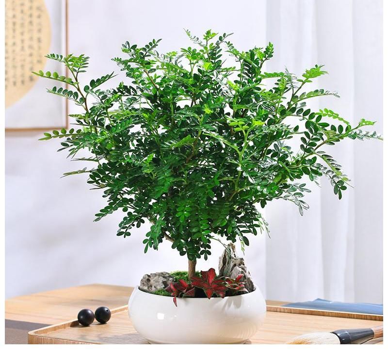 租房住也该有的生活用品，用过绝对感觉值！