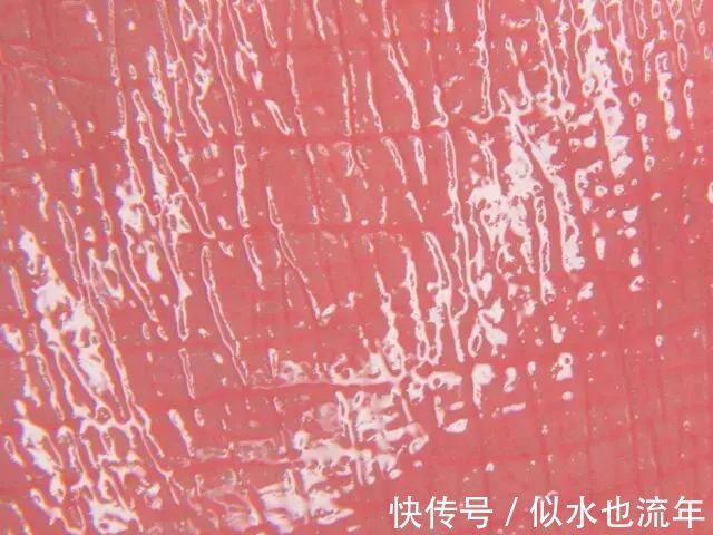 新年 什么口红显白显气质特别适合新年使用？超显温柔的新年口红测评