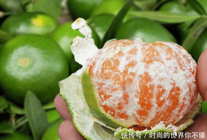 公母|买橘子,“公母”要分清,要挑母的,记住4点,保证个个香甜多汁