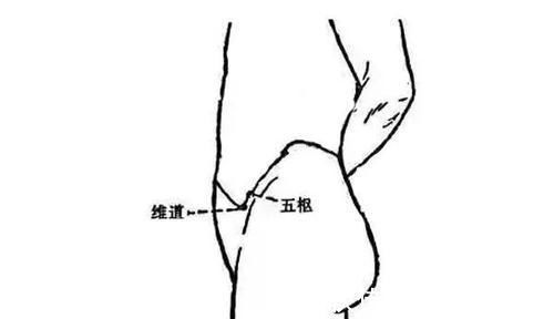东医宝鉴|带脉不通，五脏失调！中医一招，疏通带脉，腰腹受了，百病远离！