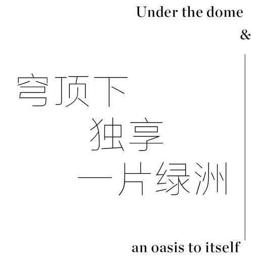 从「头」开始，追逐生活之美