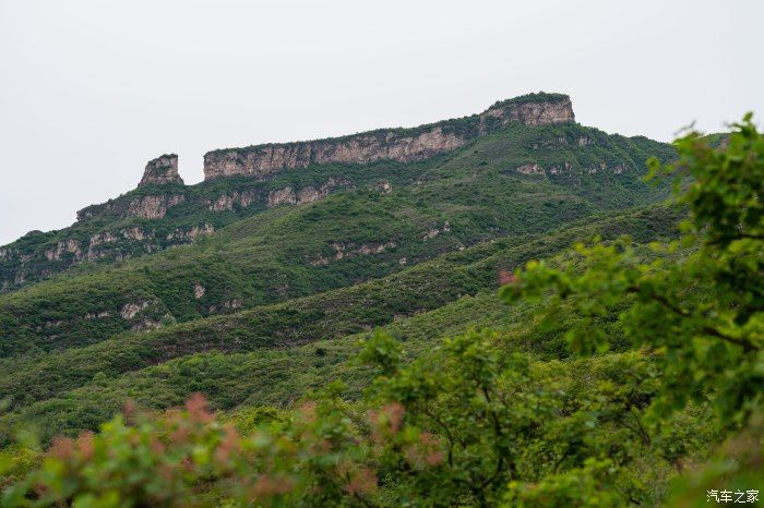 粉红|【郊野行摄】春风拂面，黄栌花开---雨中游京西幽岚山