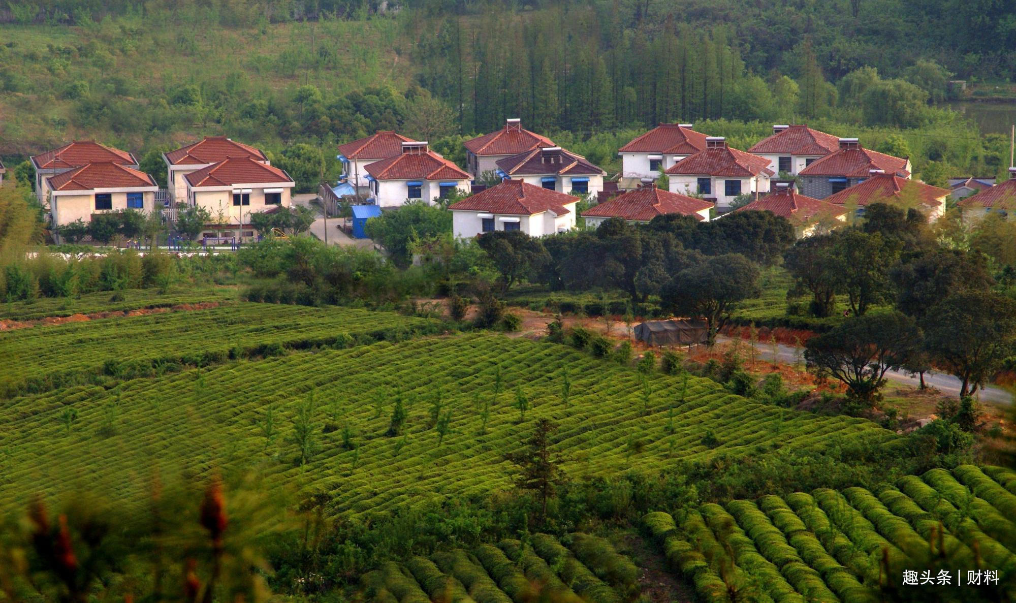 使用权|停止“确权”国家一锤定音,2021年起,宅基地统统按“新政”办