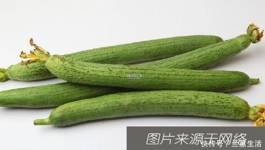 丝瓜藤|常吃丝瓜的人，身体不会差，但切忌与一物同食，却有很多人不清楚