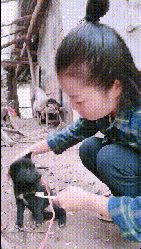 |搞笑GIF:宝宝:这吃的是什么呀,怎么越吃越困呢