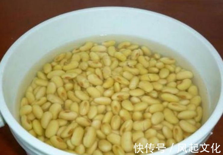 蟹爪兰、月季盆里加点“它”,花苞呼呼冒不停,一个月花朵开满枝