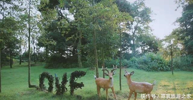 暖暖的|寒冷的冬日，暖暖的鼓岭，元旦度假来这里观山赏水