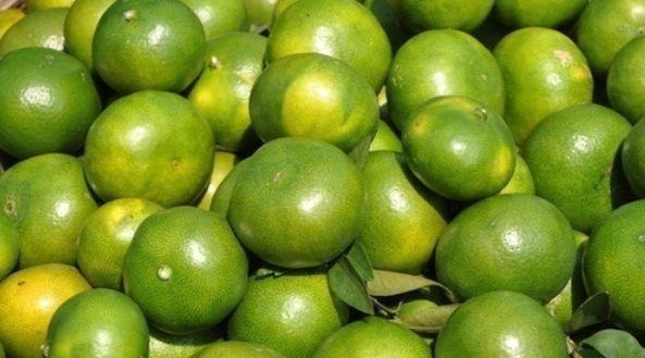 怀孕期间|准妈妈在怀孕期间, 少吃3种食物, 能减少宝宝出现“黄疸”的几率!