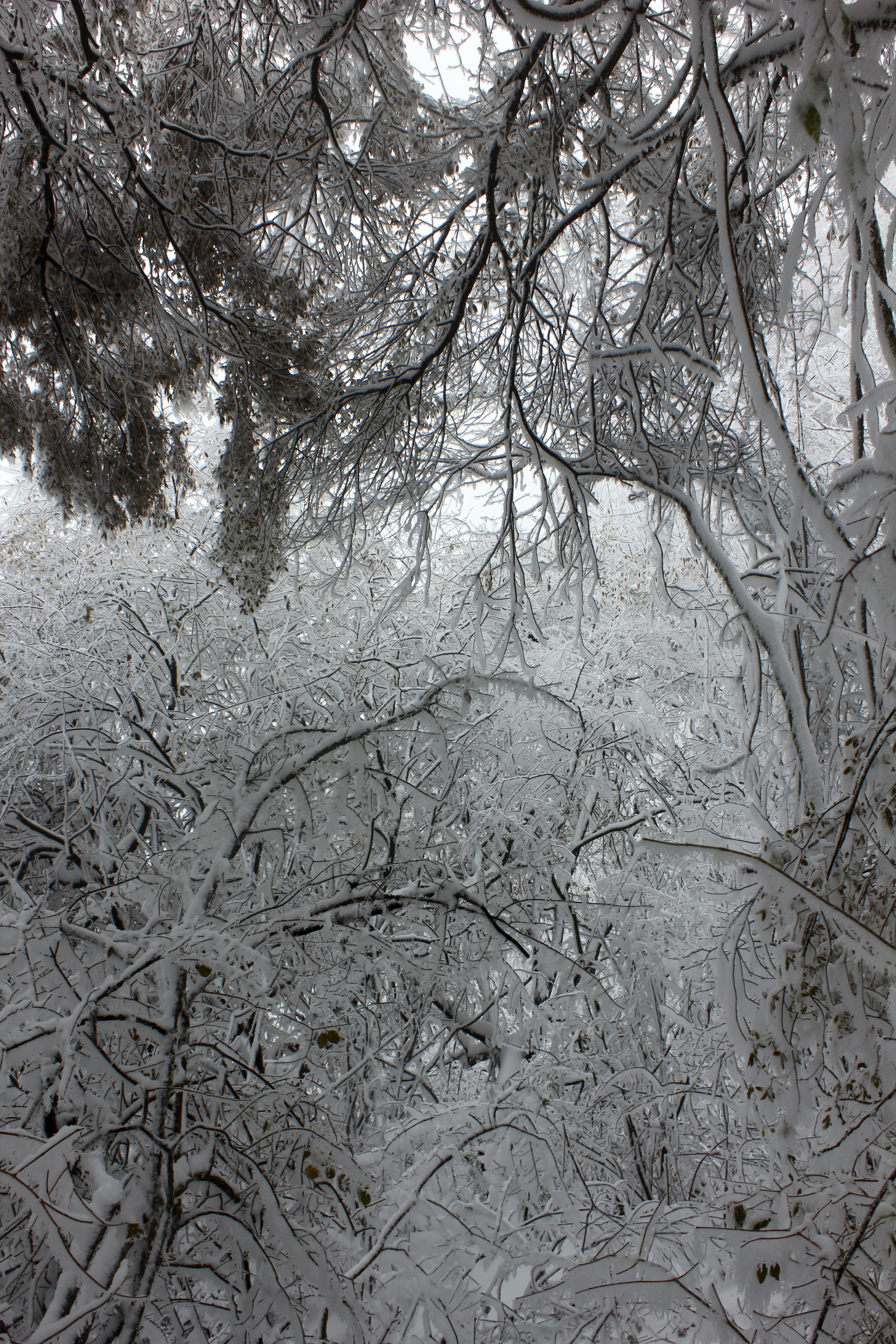 征集|【年末福利征集】雪后南五台幸遇云海