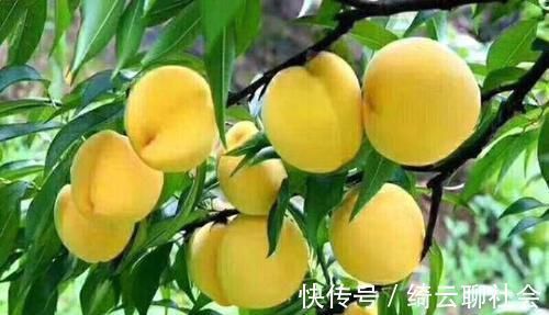 肝糖原|滋补身体的好食物,推荐常吃,视力好了,体内毒素消失,美容嫩肤