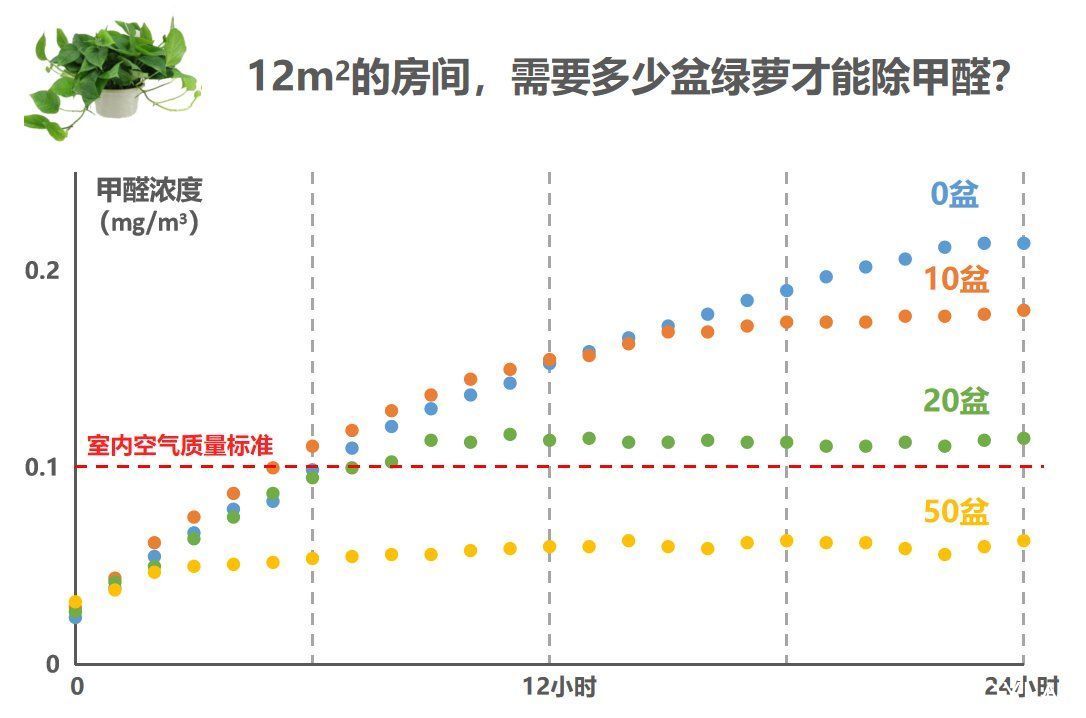 白血病|这些“甲醛知识”，99%都是假的！进来查看真相