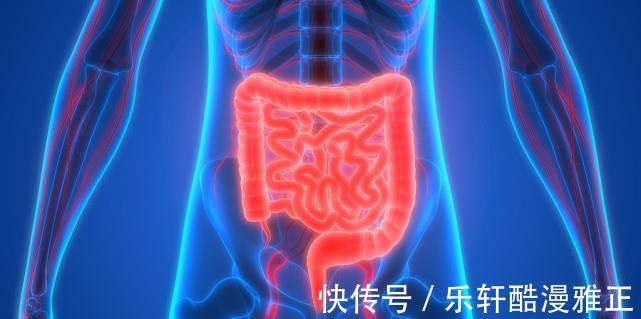 大便|女子便秘多年，肠管坏死，医生一种零嘴乃“清粪高手”，不妨常吃