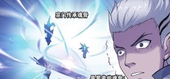 封号斗罗|斗罗大陆昊天宗有两块传承魂骨,武魂殿有六块,他们足足有九块