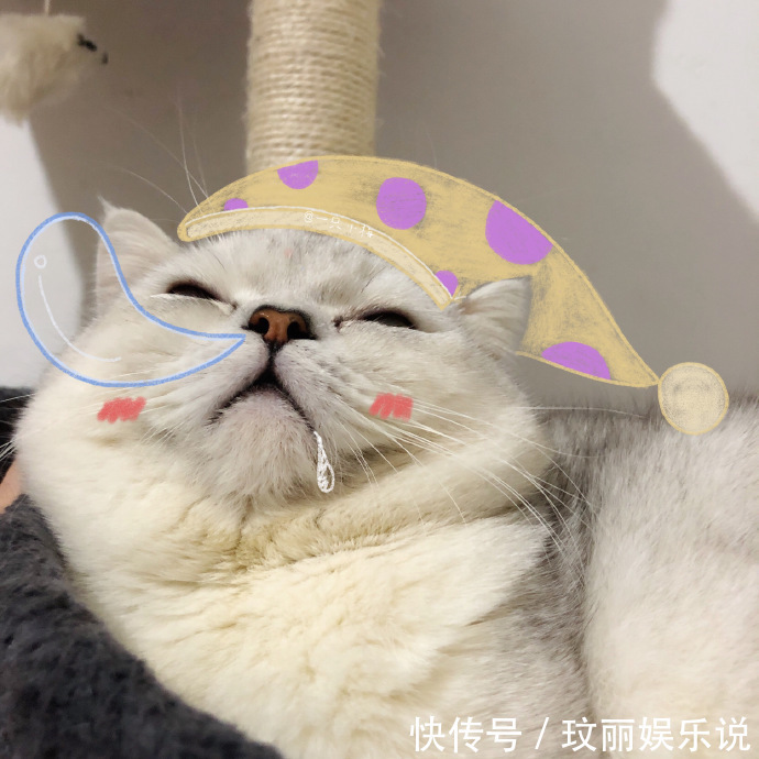 |幽默笑话:又是我错了,是我不关心媳妇,没把媳妇放在第一位