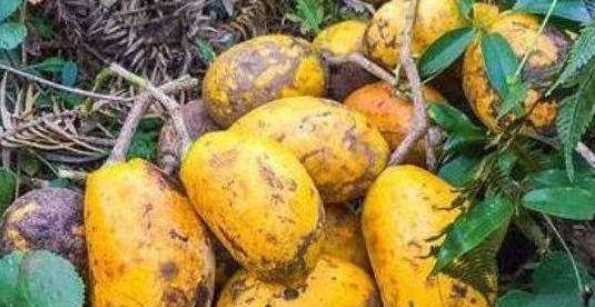 延缓衰老|女性到了中年，常吃3种食物，降压减脂，排毒清肠，改善气色