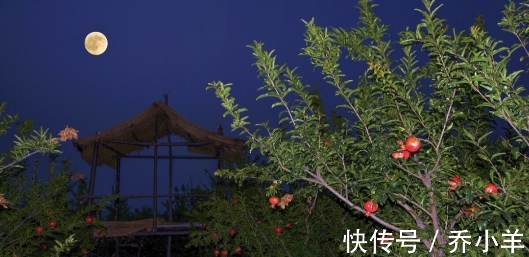 故友#这两首意蕴凄美的唐诗,被蘅塘退士选入《唐诗三百首》,值得一读