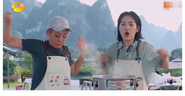 黄晓明|《中餐厅》明星做菜意外重重！厨房“鸡飞狗跳”，观众都捏一把汗