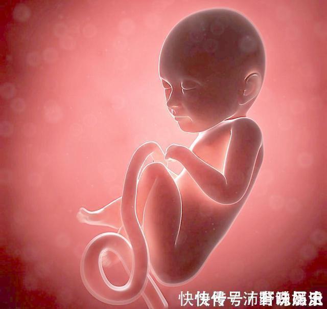 早产|女子做4次流产腹中胎儿岿然不动，医师检查后大吃一惊