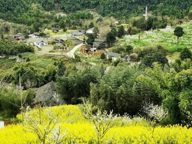 雪雕|临邛花朝节：“丝路雅集飞花令”走进邛崃临济李花节