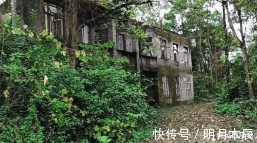 会馆|探访无人居住的荒岛，曾做过巨大贡献，即将开发成湿地公园