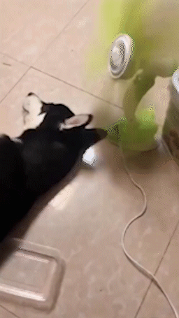 |搞笑GIF:美女!这是公共场所,不是你家啊!你没发现地板很硬吗?