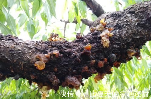 胎儿|孕妇吃螃蟹会流产?别上当了,这8种食物才不能吃,要注意了